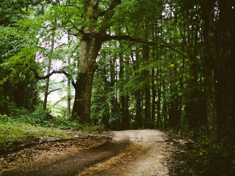 sudoku extra challenge screenshot 4